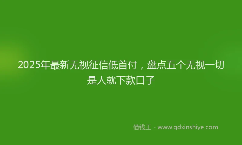 2025年最新无视征信低首付，盘点五个无视一切是人就下款口子