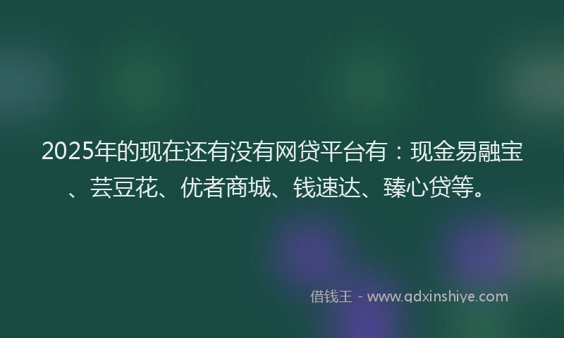 2025年的现在还有没有网贷平台有：现金易融宝、芸豆花、优者商城、钱速达、臻心贷等。