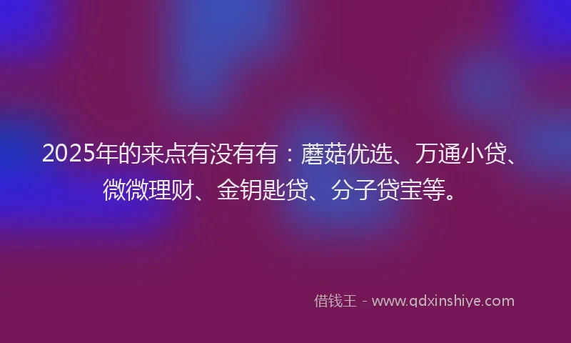 2025年的来点有没有有：蘑菇优选、万通小贷、微微理财、金钥匙贷、分子贷宝等。