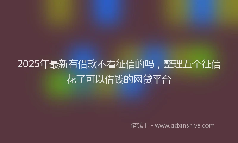2025年最新有借款不看征信的吗，整理五个征信花了可以借钱的网贷平台