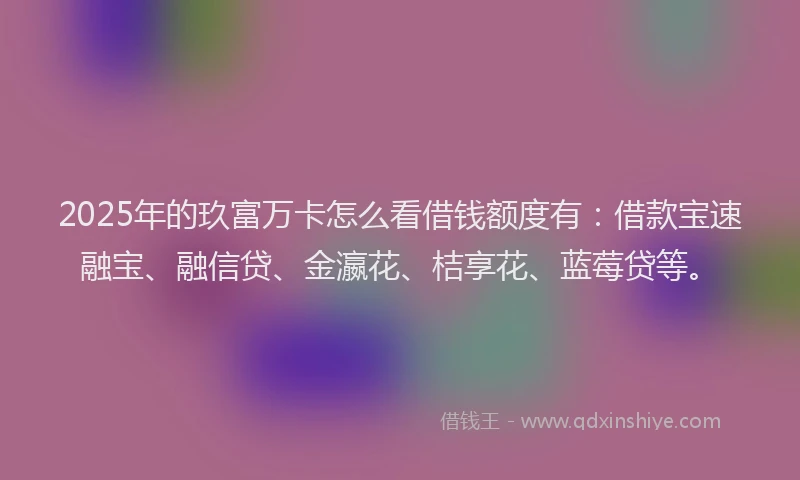2025年的玖富万卡怎么看借钱额度有：借款宝速融宝、融信贷、金瀛花、桔享花、蓝莓贷等。