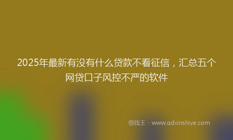2025年最新有没有什么贷款不看征信，汇总五个网贷口子风控不严的软件