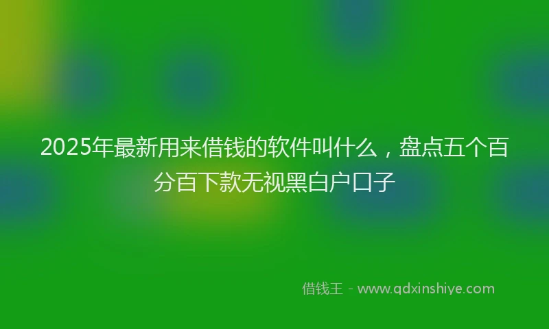 2025年最新用来借钱的软件叫什么，盘点五个百分百下款无视黑白户口子