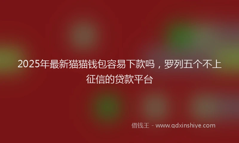 2025年最新猫猫钱包容易下款吗，罗列五个不上征信的贷款平台