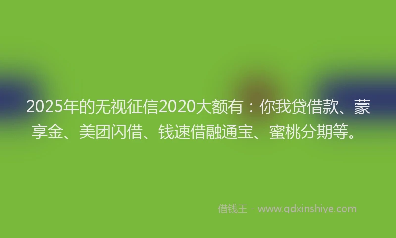 2025年的无视征信2020大额有：你我贷借款、蒙享金、美团闪借、钱速借融通宝、蜜桃分期等。
