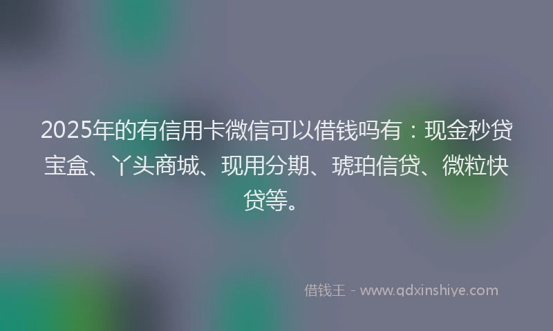 2025年的有信用卡微信可以借钱吗有：现金秒贷宝盒、丫头商城、现用分期、琥珀信贷、微粒快贷等。