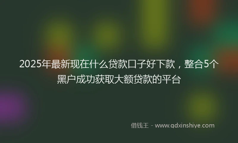 2025年最新现在什么贷款口子好下款，整合5个黑户成功获取大额贷款的平台