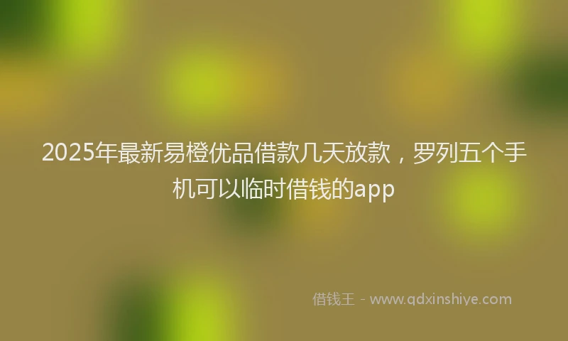 2025年最新易橙优品借款几天放款，罗列五个手机可以临时借钱的app