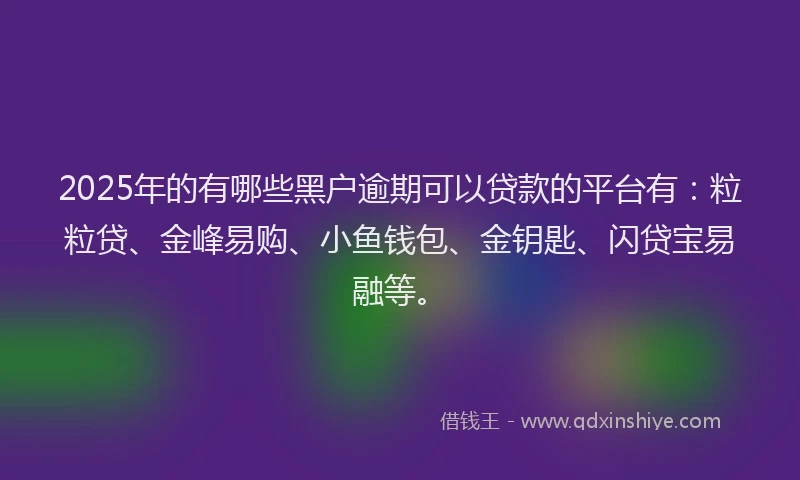 2025年的有哪些黑户逾期可以贷款的平台有：粒粒贷、金峰易购、小鱼钱包、金钥匙、闪贷宝易融等。