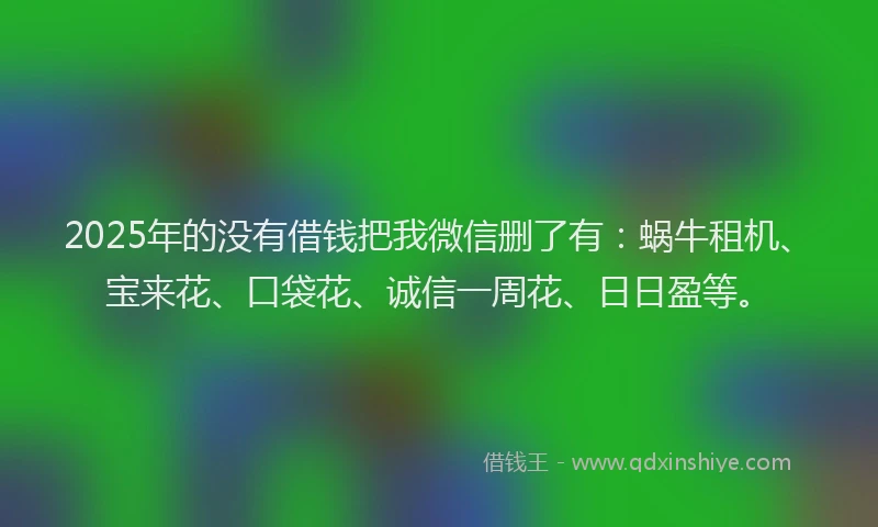 2025年的没有借钱把我微信删了有：蜗牛租机、宝来花、口袋花、诚信一周花、日日盈等。