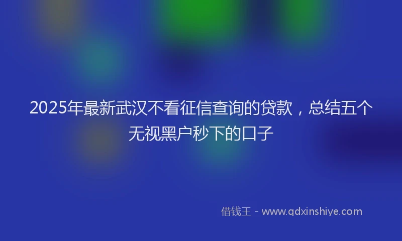 2025年最新武汉不看征信查询的贷款，总结五个无视黑户秒下的口子