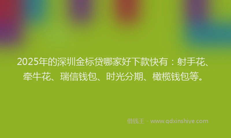 2025年的深圳金标贷哪家好下款快有：射手花、牵牛花、瑞信钱包、时光分期、橄榄钱包等。