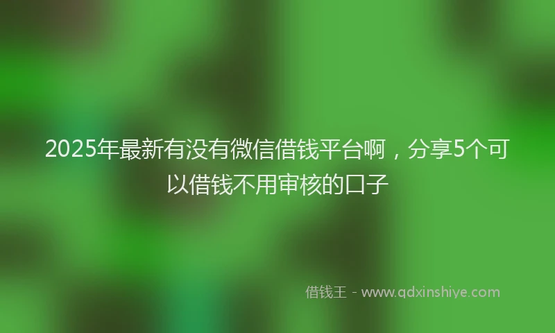 2025年最新有没有微信借钱平台啊，分享5个可以借钱不用审核的口子