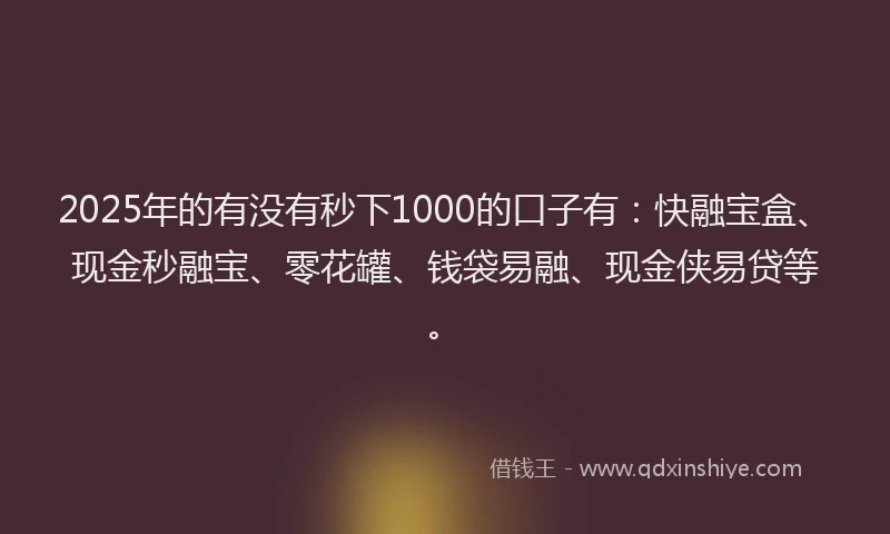 2025年的有没有秒下1000的口子有：快融宝盒、现金秒融宝、零花罐、钱袋易融、现金侠易贷等。