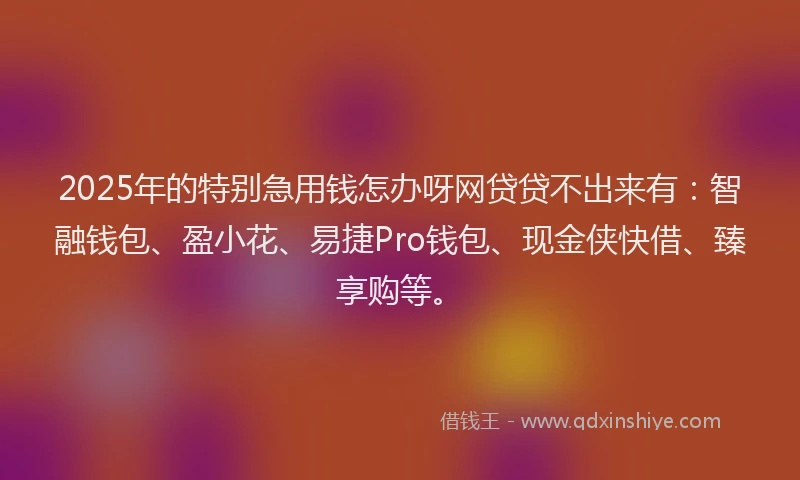 2025年的特别急用钱怎办呀网贷贷不出来有：智融钱包、盈小花、易捷Pro钱包、现金侠快借、臻享购等。