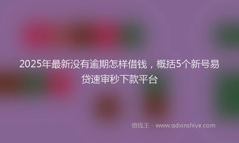 2025年最新没有逾期怎样借钱，概括5个新号易贷速审秒下款平台