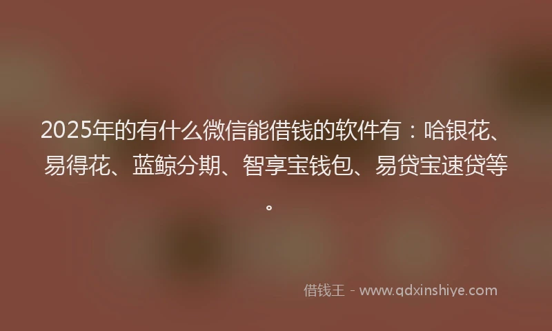 2025年的有什么微信能借钱的软件有：哈银花、易得花、蓝鲸分期、智享宝钱包、易贷宝速贷等。
