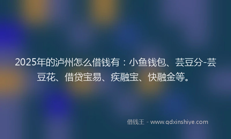 2025年的泸州怎么借钱有：小鱼钱包、芸豆分-芸豆花、借贷宝易、疾融宝、快融金等。