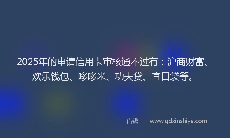 2025年的申请信用卡审核通不过有：沪商财富、欢乐钱包、哆哆米、功夫贷、宜口袋等。