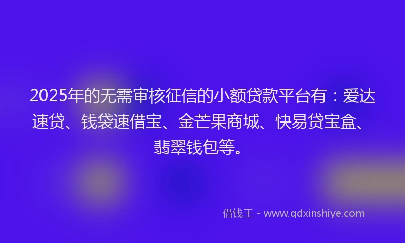 2025年的无需审核征信的小额贷款平台有：爱达速贷、钱袋速借宝、金芒果商城、快易贷宝盒、翡翠钱包等。