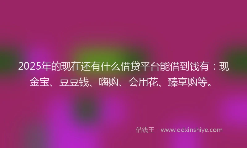 2025年的现在还有什么借贷平台能借到钱有：现金宝、豆豆钱、嗨购、会用花、臻享购等。