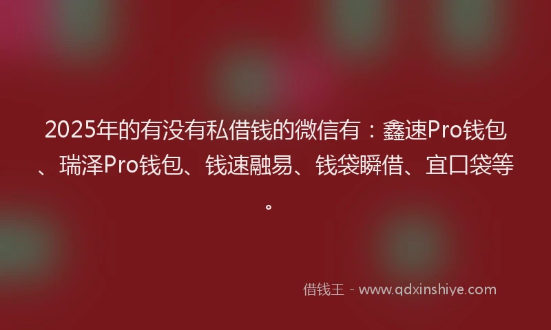 2025年的有没有私借钱的微信有：鑫速Pro钱包、瑞泽Pro钱包、钱速融易、钱袋瞬借、宜口袋等。