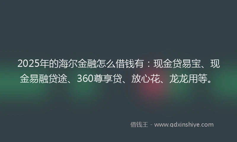 2025年的海尔金融怎么借钱有：现金贷易宝、现金易融贷途、360尊享贷、放心花、龙龙用等。