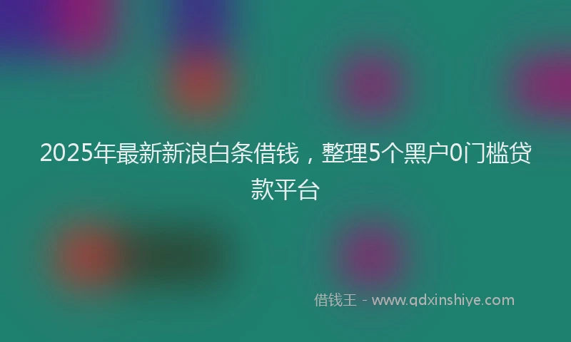 2025年最新新浪白条借钱，整理5个黑户0门槛贷款平台