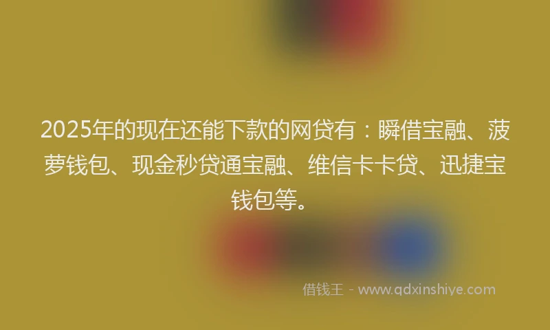 2025年的现在还能下款的网贷有：瞬借宝融、菠萝钱包、现金秒贷通宝融、维信卡卡贷、迅捷宝钱包等。
