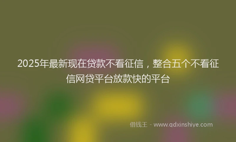 2025年最新现在贷款不看征信，整合五个不看征信网贷平台放款快的平台