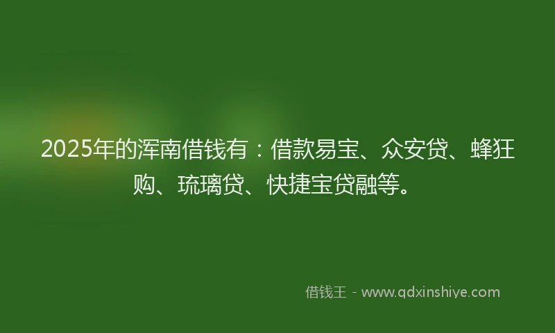 2025年的浑南借钱有：借款易宝、众安贷、蜂狂购、琉璃贷、快捷宝贷融等。