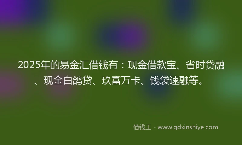 2025年的易金汇借钱有：现金借款宝、省时贷融、现金白鸽贷、玖富万卡、钱袋速融等。