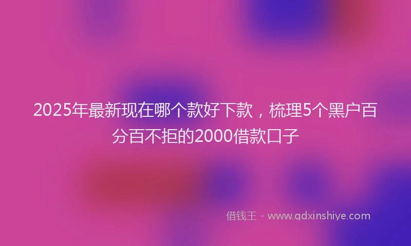 2025年最新现在哪个款好下款，梳理5个黑户百分百不拒的2000借款口子