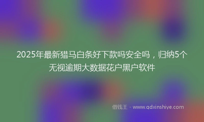2025年最新猎马白条好下款吗安全吗，归纳5个无视逾期大数据花户黑户软件
