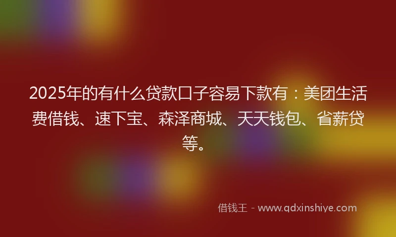 2025年的有什么贷款口子容易下款有：美团生活费借钱、速下宝、森泽商城、天天钱包、省薪贷等。