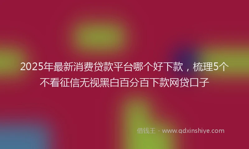 2025年最新消费贷款平台哪个好下款，梳理5个不看征信无视黑白百分百下款网贷口子