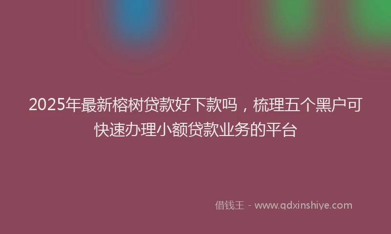 2025年最新榕树贷款好下款吗，梳理五个黑户可快速办理小额贷款业务的平台