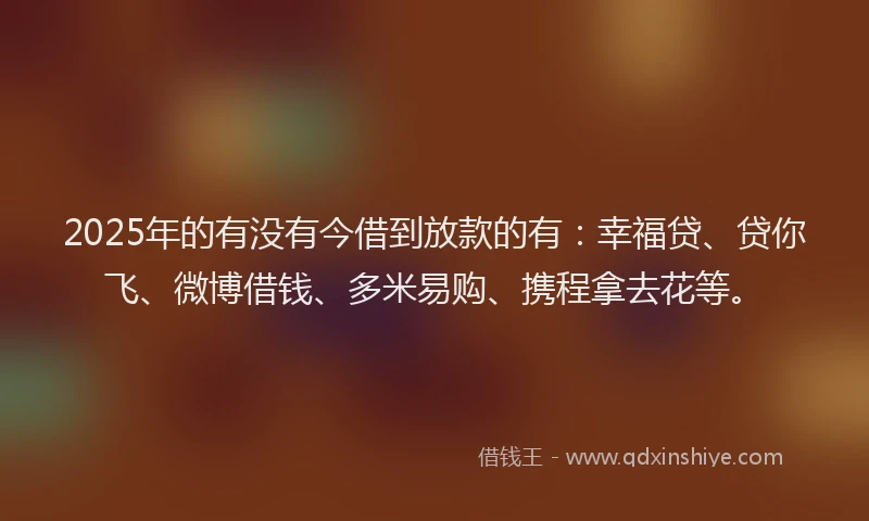 2025年的有没有今借到放款的有：幸福贷、贷你飞、微博借钱、多米易购、携程拿去花等。