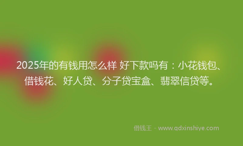 2025年的有钱用怎么样 好下款吗有：小花钱包、借钱花、好人贷、分子贷宝盒、翡翠信贷等。