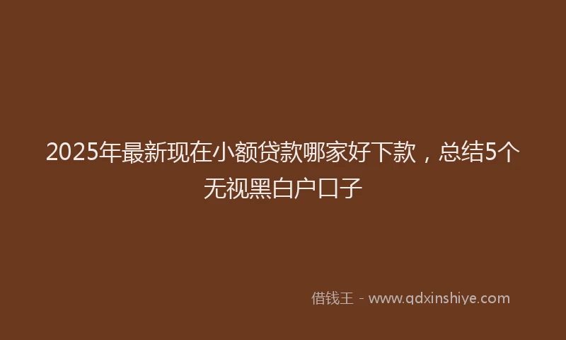 2025年最新现在小额贷款哪家好下款，总结5个无视黑白户口子