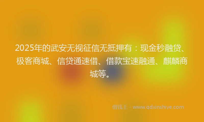 2025年的武安无视征信无抵押有：现金秒融贷、极客商城、信贷通速借、借款宝速融通、麒麟商城等。