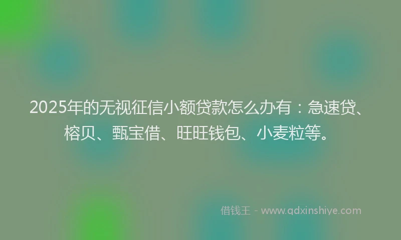 2025年的无视征信小额贷款怎么办有：急速贷、榕贝、甄宝借、旺旺钱包、小麦粒等。