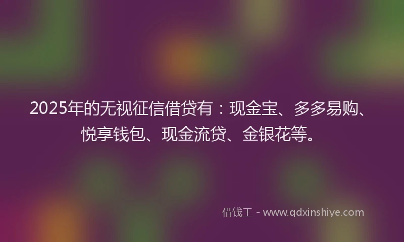 2025年的无视征信借贷有：现金宝、多多易购、悦享钱包、现金流贷、金银花等。