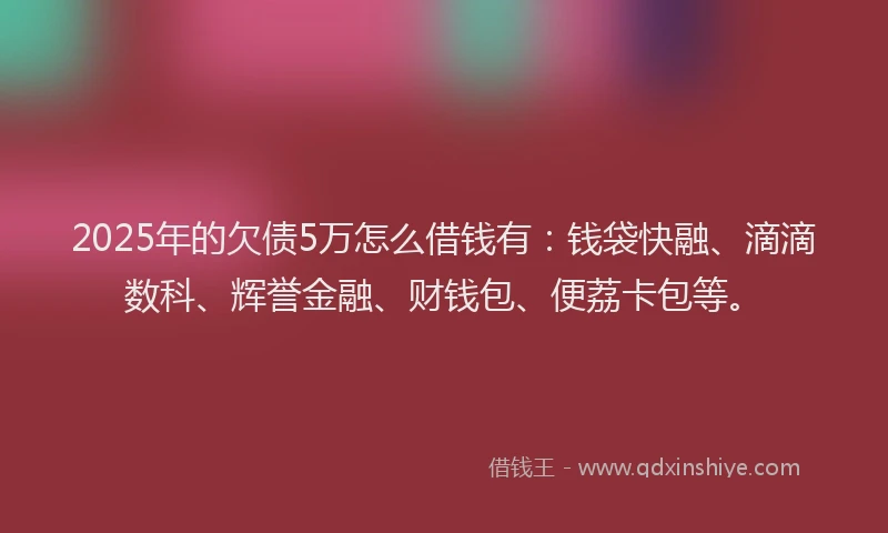 2025年的欠债5万怎么借钱有：钱袋快融、滴滴数科、辉誉金融、财钱包、便荔卡包等。