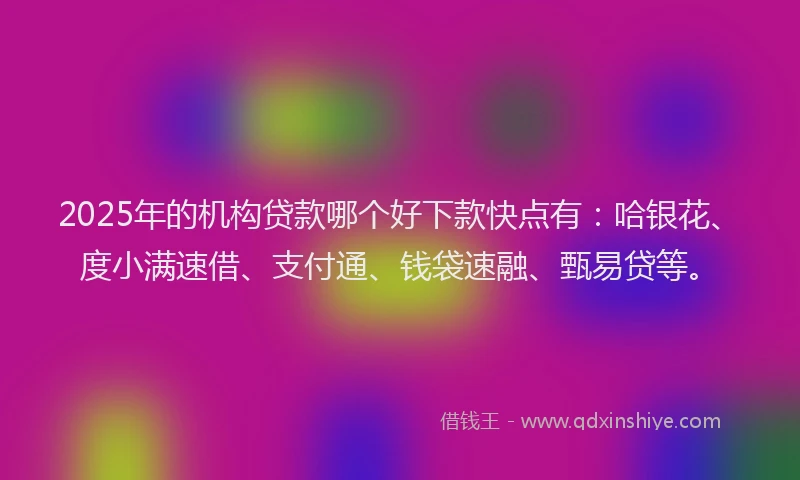 2025年的机构贷款哪个好下款快点有：哈银花、度小满速借、支付通、钱袋速融、甄易贷等。