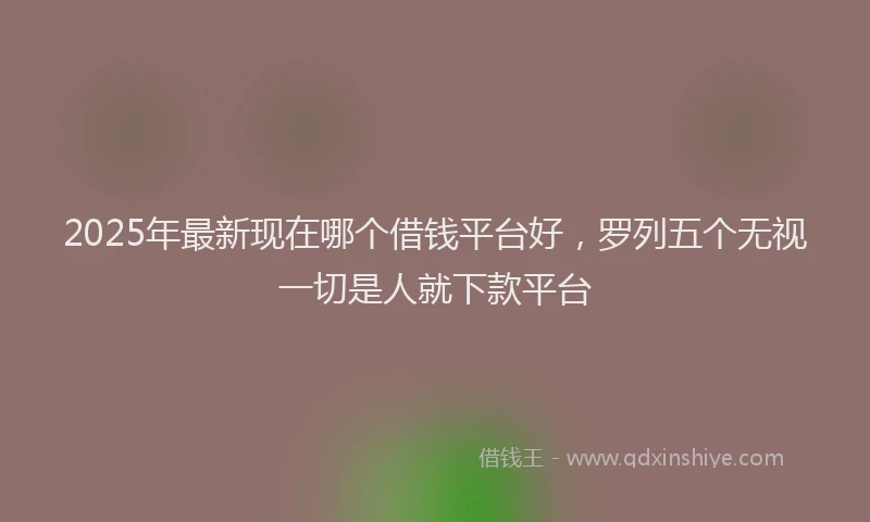 2025年最新现在哪个借钱平台好，罗列五个无视一切是人就下款平台