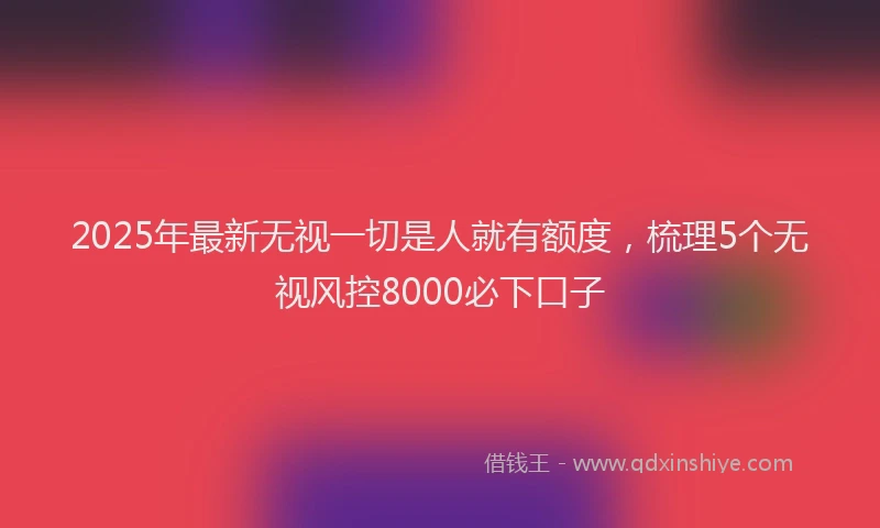 2025年最新无视一切是人就有额度，梳理5个无视风控8000必下口子