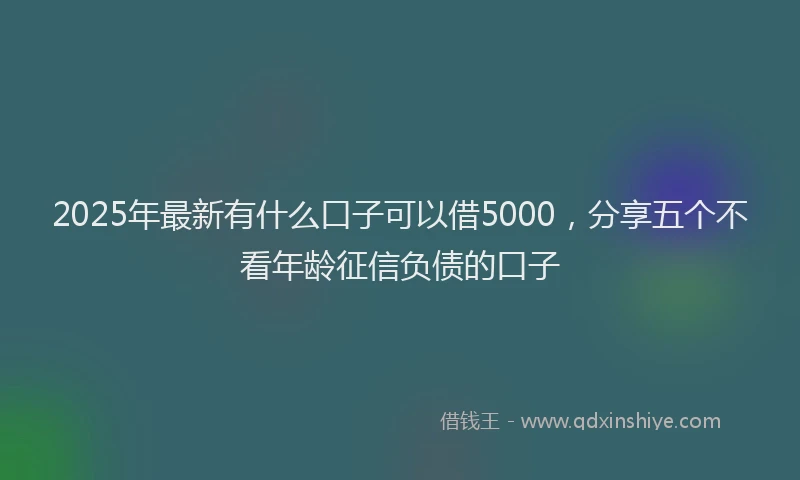 2025年最新有什么口子可以借5000，分享五个不看年龄征信负债的口子