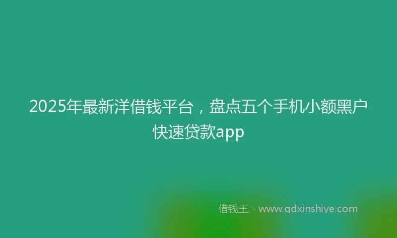 2025年最新洋借钱平台，盘点五个手机小额黑户快速贷款app
