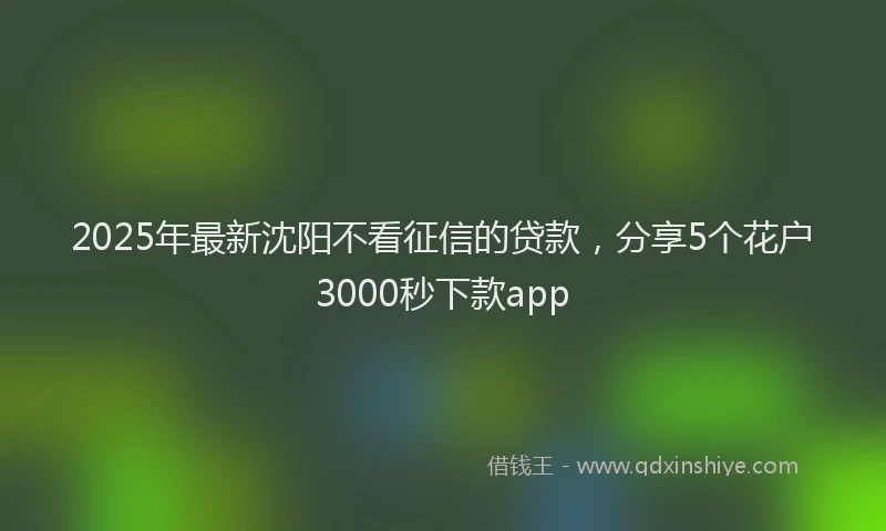 2025年最新沈阳不看征信的贷款，分享5个花户3000秒下款app